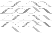 Logo Kulturstiftung Sachsen